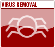 Virus Trojans Spyware Removal Computer Repair
